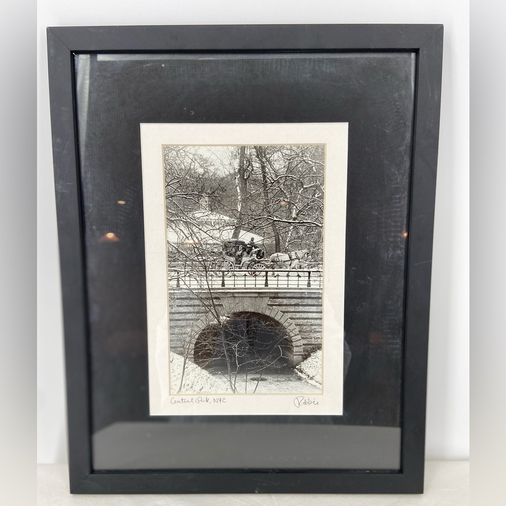Photograph Framed NYC Central Park in the Snow Horse + Carriage Carousel
